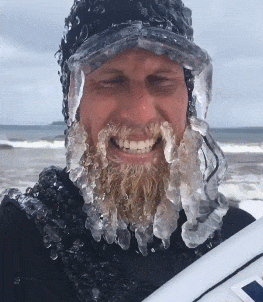 Bewegter Picturedump 388