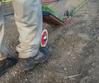 Bewegter Picturedump 388