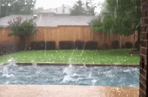 Bewegter Picturedump 388