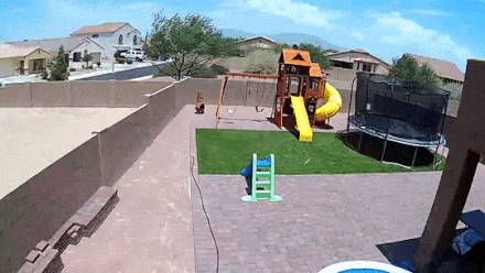 Bewegter Picturedump 388