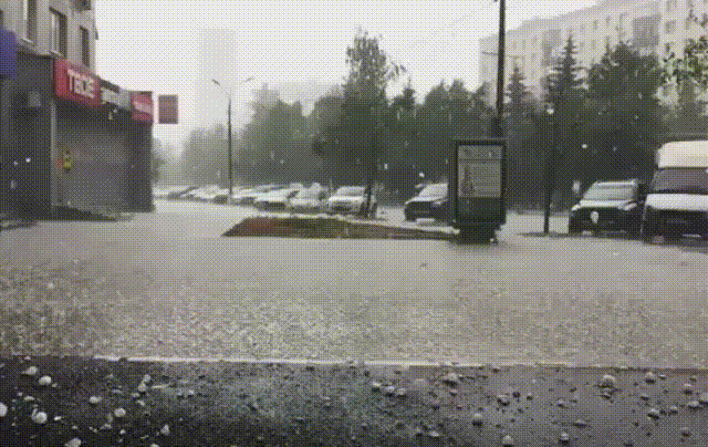 Bewegter Picturedump 388