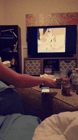 Bewegter Picturedump 388