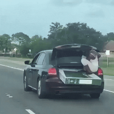 Bewegter Picturedump 501