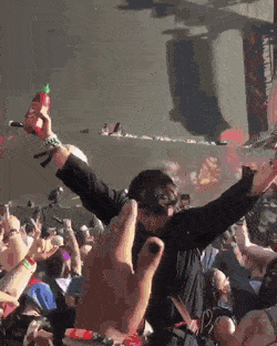 Bewegter Picturedump 501