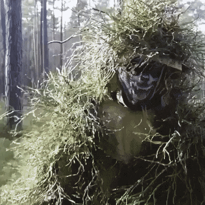 Bewegter Picturedump 501