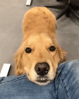 Bewegter Picturedump 501