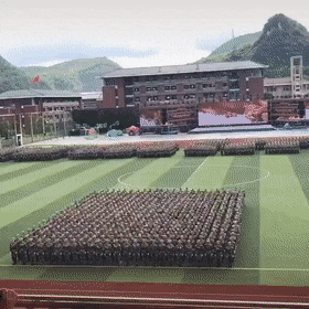 Bewegter Picturedump 501