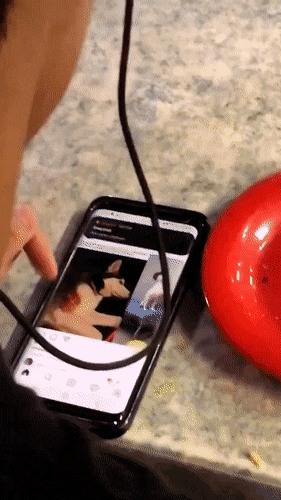 Bewegter Picturedump 501