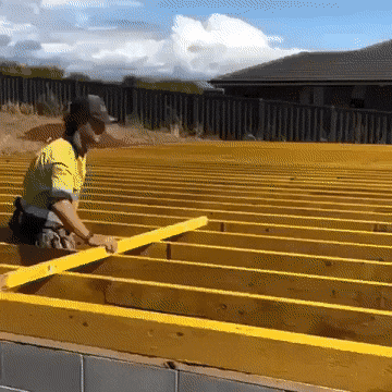 Bewegter Picturedump 501