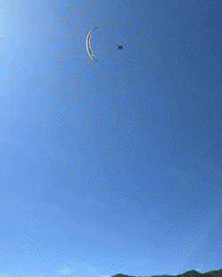 Bewegter Picturedump 501