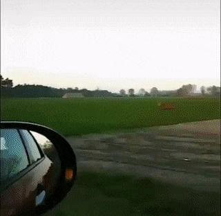 Bewegter Picturedump 501