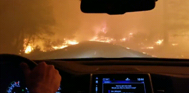 Bewegter Picturedump 501