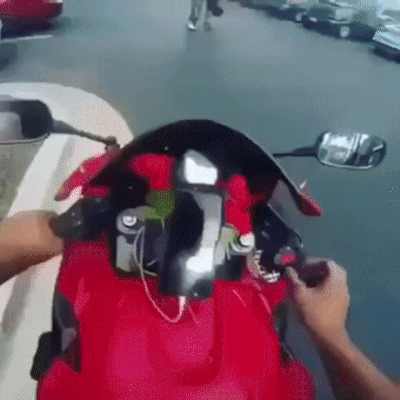 Bewegter Picturedump 501