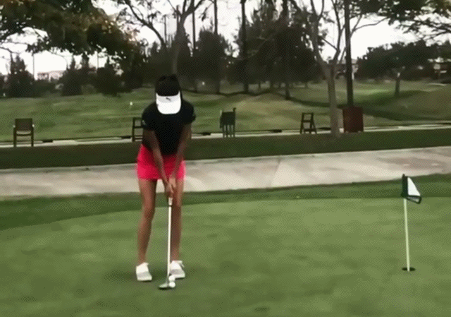 Bewegter Picturedump 501