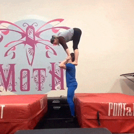 Bewegter Picturedump 501