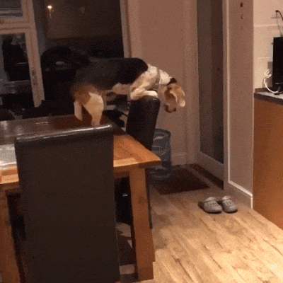 Bewegter Picturedump 501