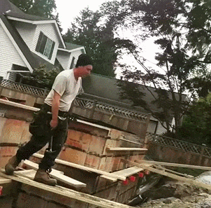 Bewegter Picturedump 501