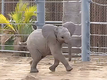 Bewegter Picturedump 258