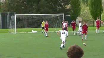 Bewegter Picturedump 210