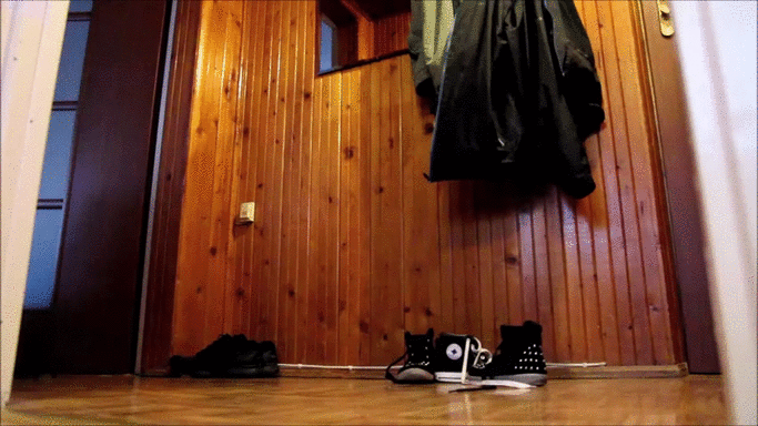 Bewegter Picturedump 241