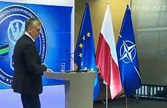 Bewegter Picturedump 297