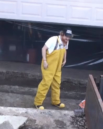 Bewegter Picturedump 297