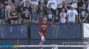 Bewegter Picturedump 371