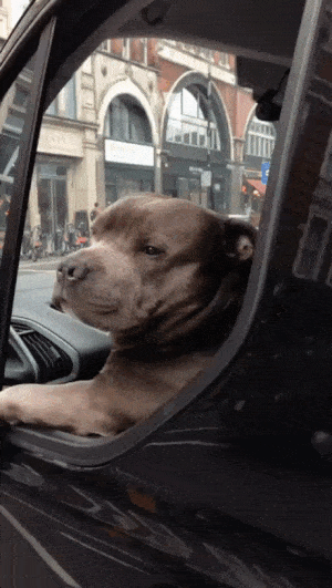 Bewegter Picturedump 371