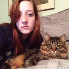 Bewegter Picturedump 371