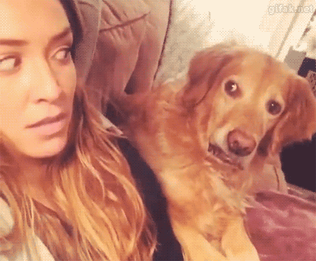 Bewegter Picturedump 284