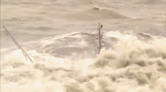 Bewegter Picturedump 445