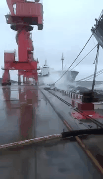 Bewegter Picturedump 445