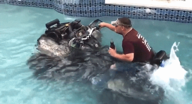 Bewegter Picturedump 445