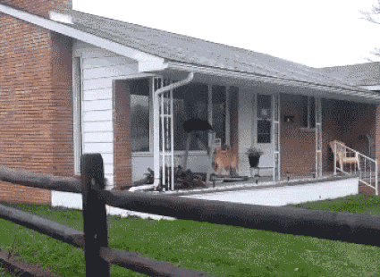 Bewegter Picturedump 445