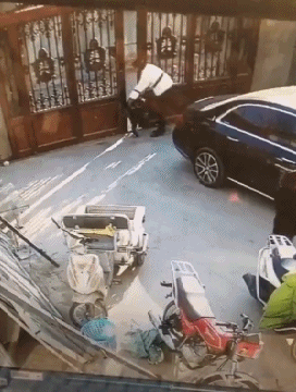 Bewegter Picturedump 445