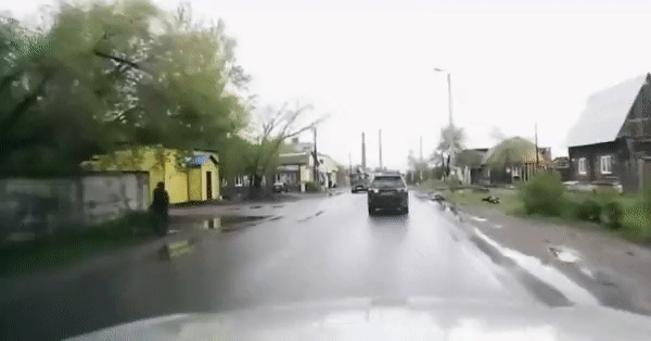 Bewegter Picturedump 445