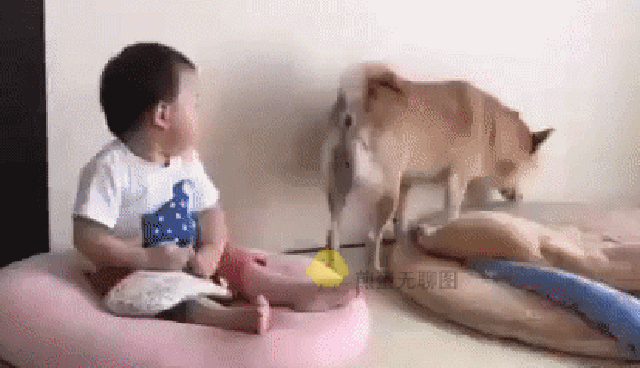 Bewegter Picturedump 445