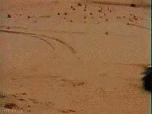 Bewegter Picturedump 345