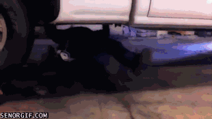 Bewegter Picturedump 345