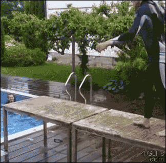 Bewegter Picturedump 345