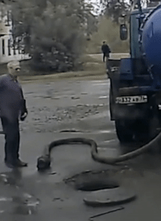 Bewegter Picturedump 345