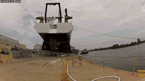 Bewegter Picturedump 345