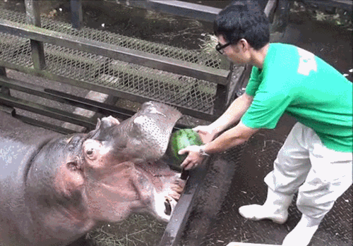 Bewegter Picturedump 345