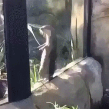 Bewegter Picturedump 345