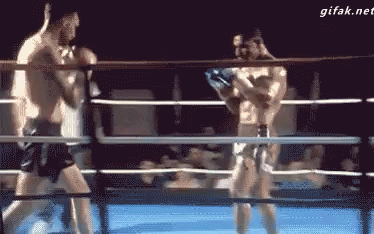 Bewegter Picturedump 271