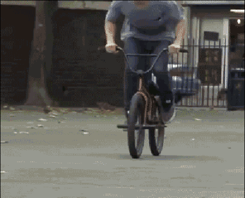 Bewegter Picturedump 271