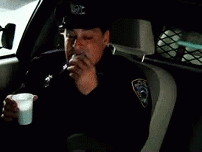 Bewegter Picturedump 271