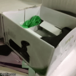 Bewegter Picturedump 232