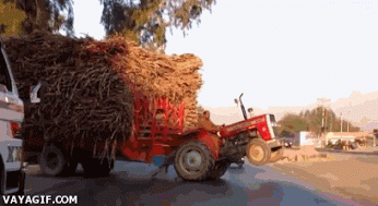 Bewegter Picturedump 232