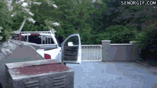 Bewegter Picturedump 393